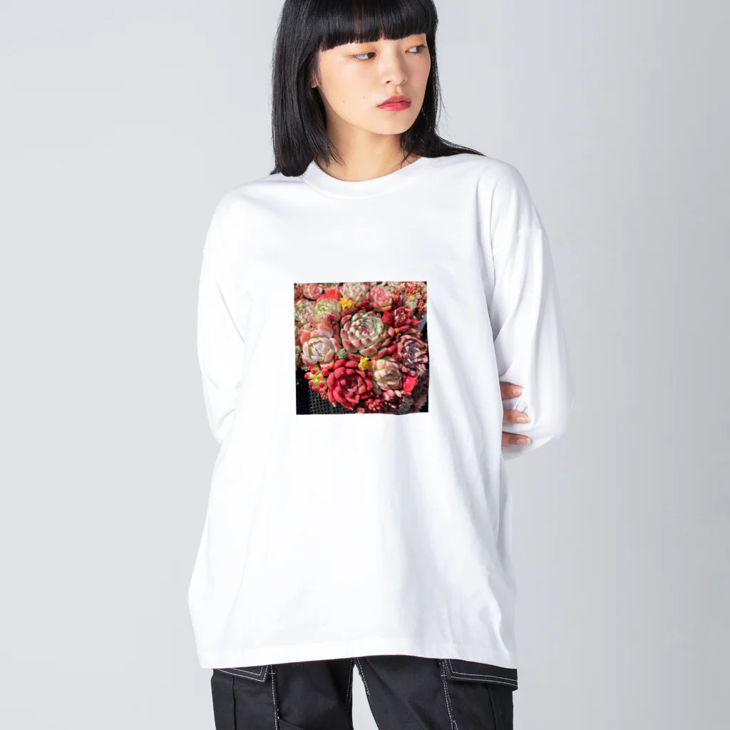 Echeveria_Masterの華やかなエケベリア ビッグシルエットロングスリーブTシャツ