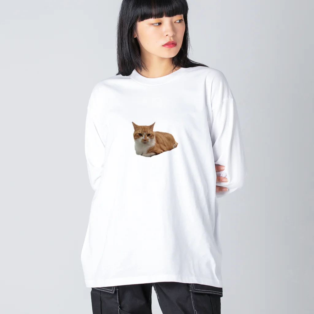 dszsdfdのこうばこねこねこ ビッグシルエットロングスリーブTシャツ