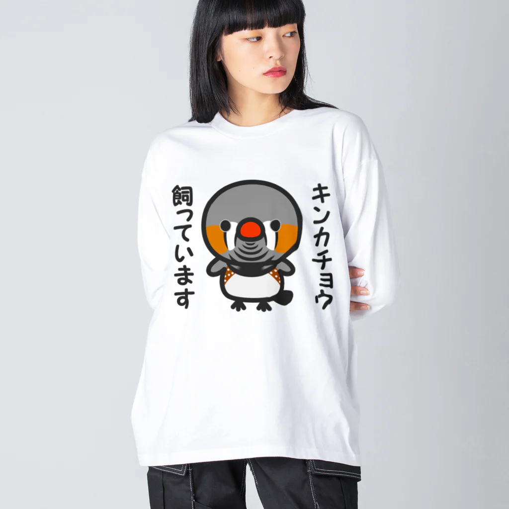 いんこ屋堂のキンカチョウ飼っています（オス） ビッグシルエットロングスリーブTシャツ