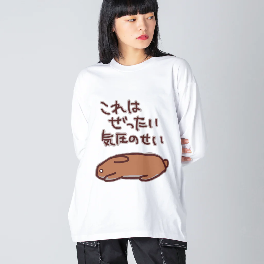 ミナミコアリクイ【のの】の絶対気圧のせい【うさぎ】 ビッグシルエットロングスリーブTシャツ