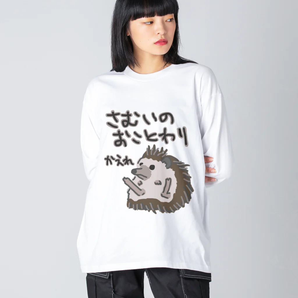 ミナミコアリクイ【のの】の寒いのお断り【ハリネズミ】 ビッグシルエットロングスリーブTシャツ