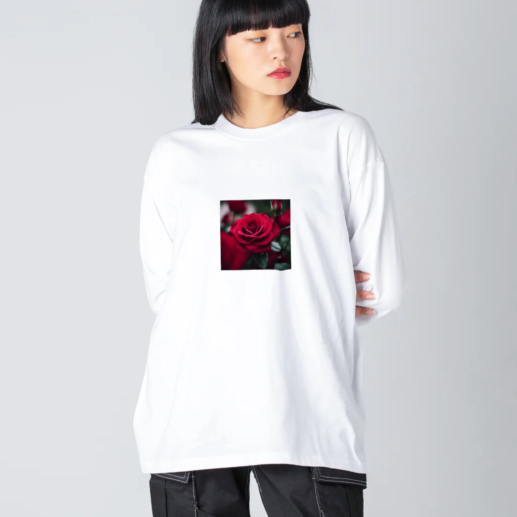 feisのバラ Big Long Sleeve T-Shirt