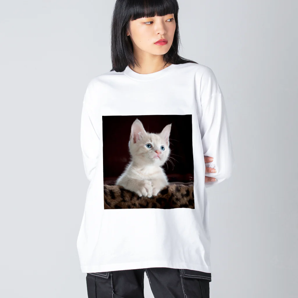 可愛い動物の猫 Big Long Sleeve T-Shirt