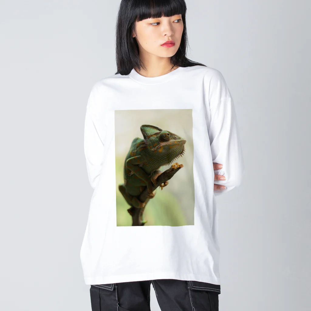 可愛い動物のカメレオン Big Long Sleeve T-Shirt