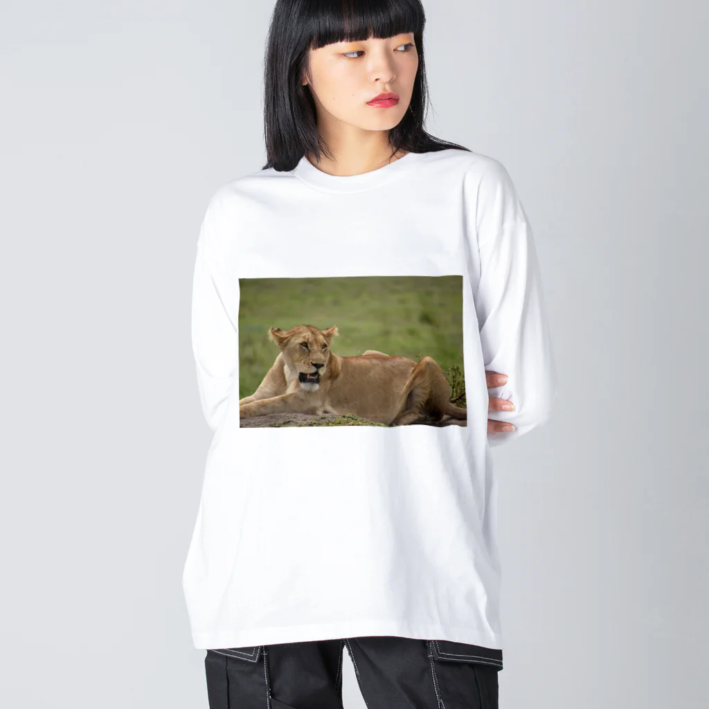 mayura_photoのサバンナのメスライオン Big Long Sleeve T-Shirt