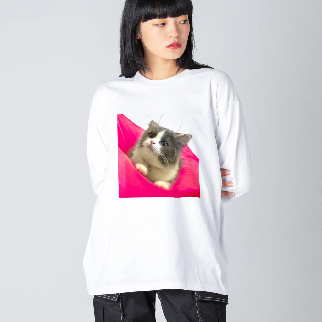 itsukiancoroのアイドルネコのアンちゃん Big Long Sleeve T-Shirt