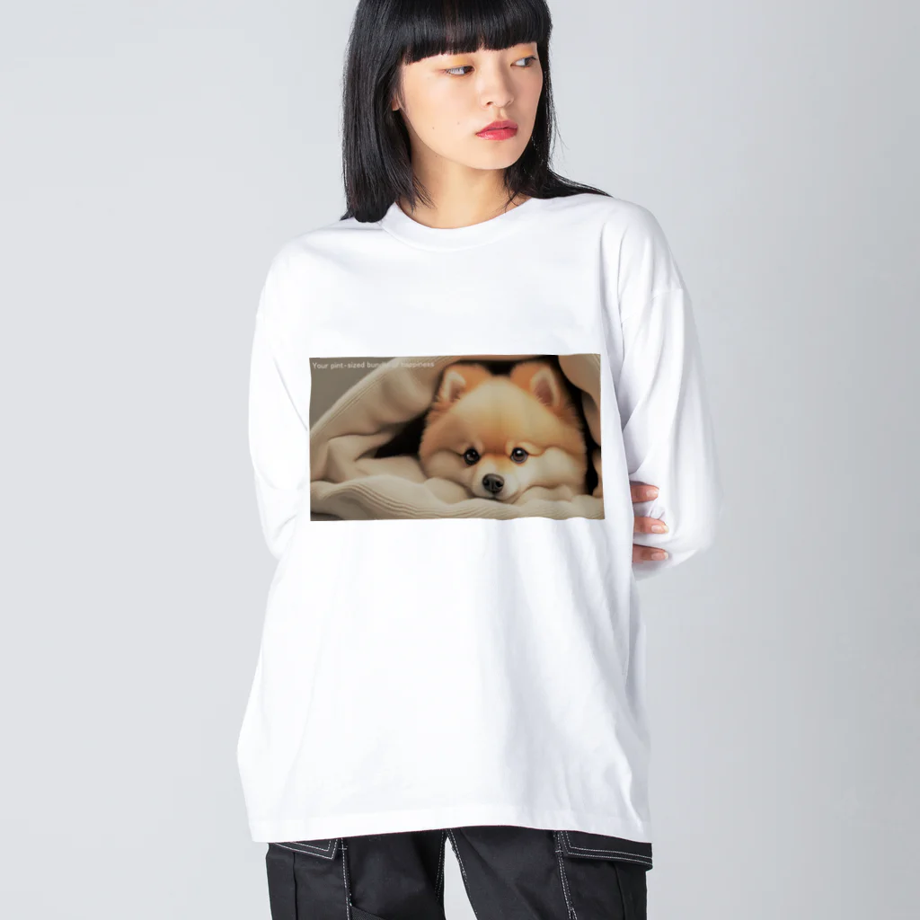 アカギソウシのふかふかぽめらにあん ビッグシルエットロングスリーブTシャツ