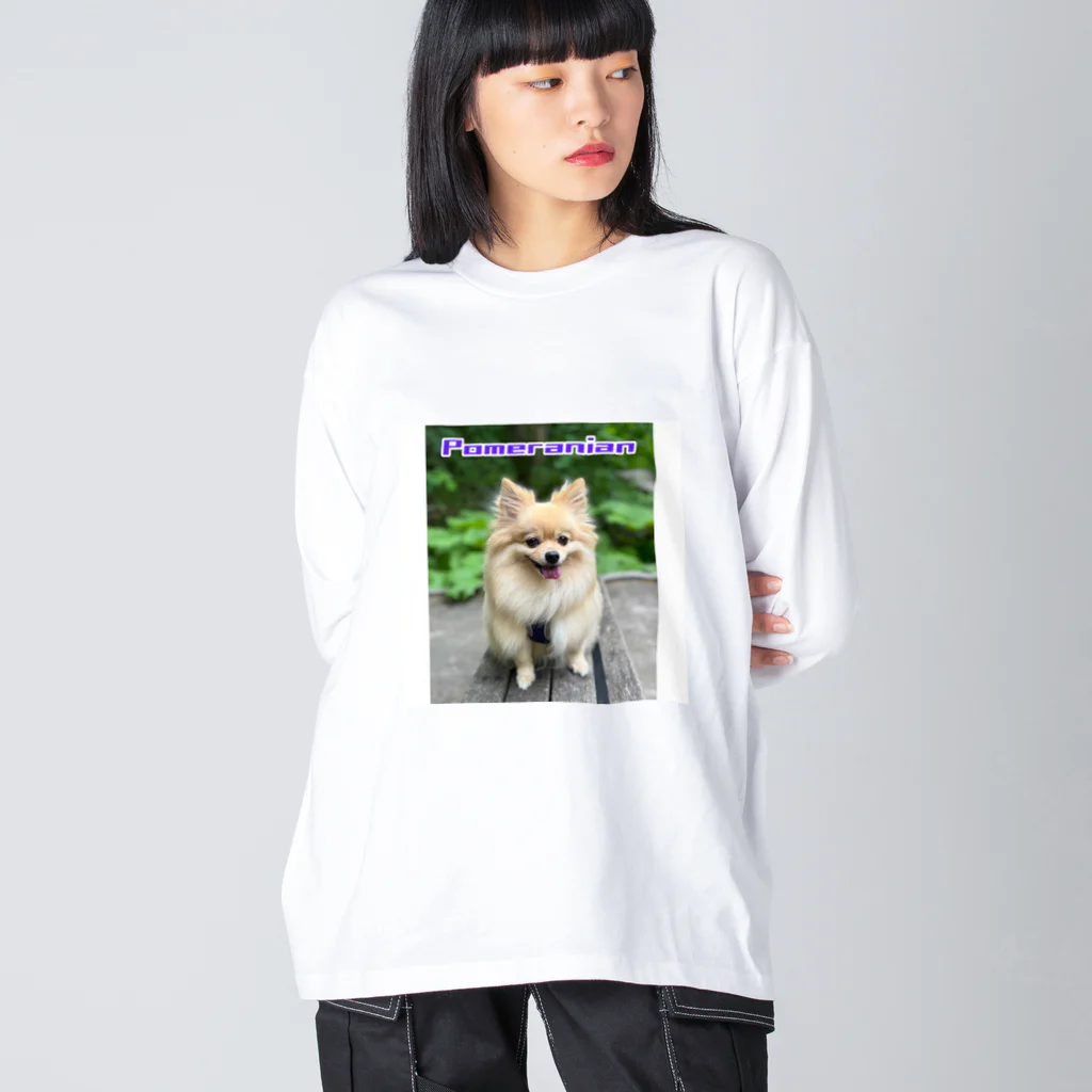 もふもふポメ　のもふもふポメ Big Long Sleeve T-Shirt