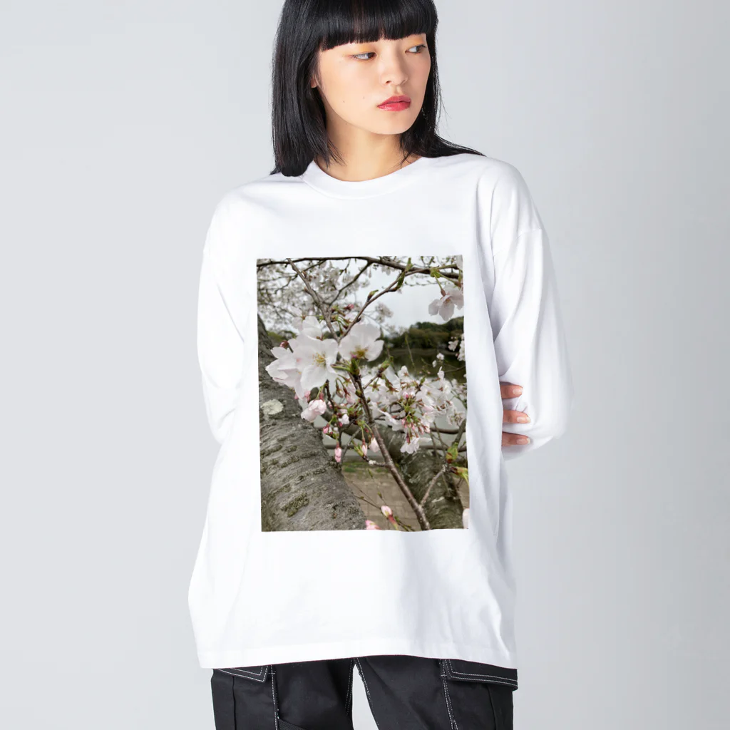 tksの春の顔サクラ Big Long Sleeve T-Shirt