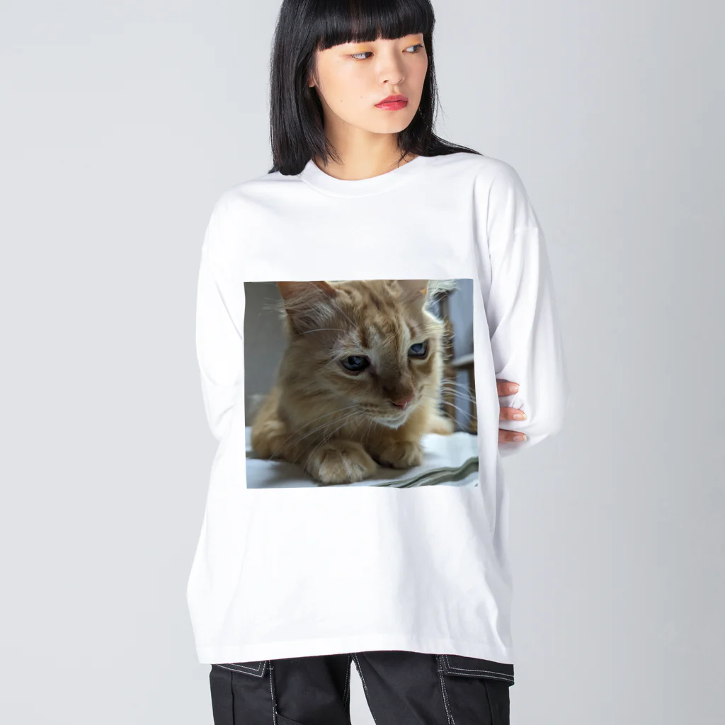 chibi_Lのお勉強するチビエル Big Long Sleeve T-Shirt