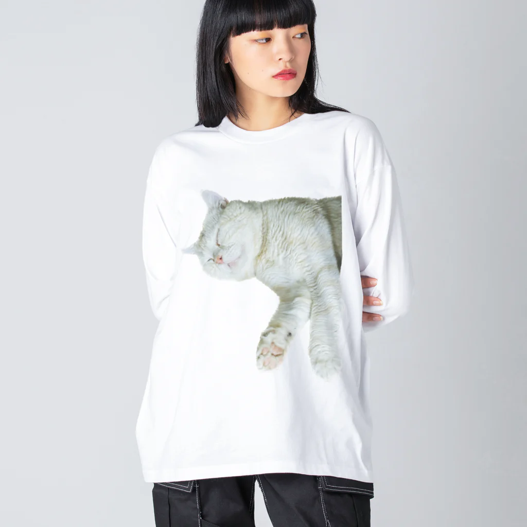 動物ランドのきいちゃんすやすやグッズ ビッグシルエットロングスリーブTシャツ