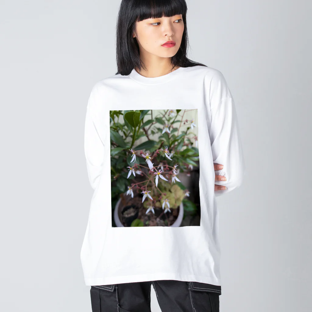ミクロのユキノシタのお花が可愛らしい〜 Big Long Sleeve T-Shirt