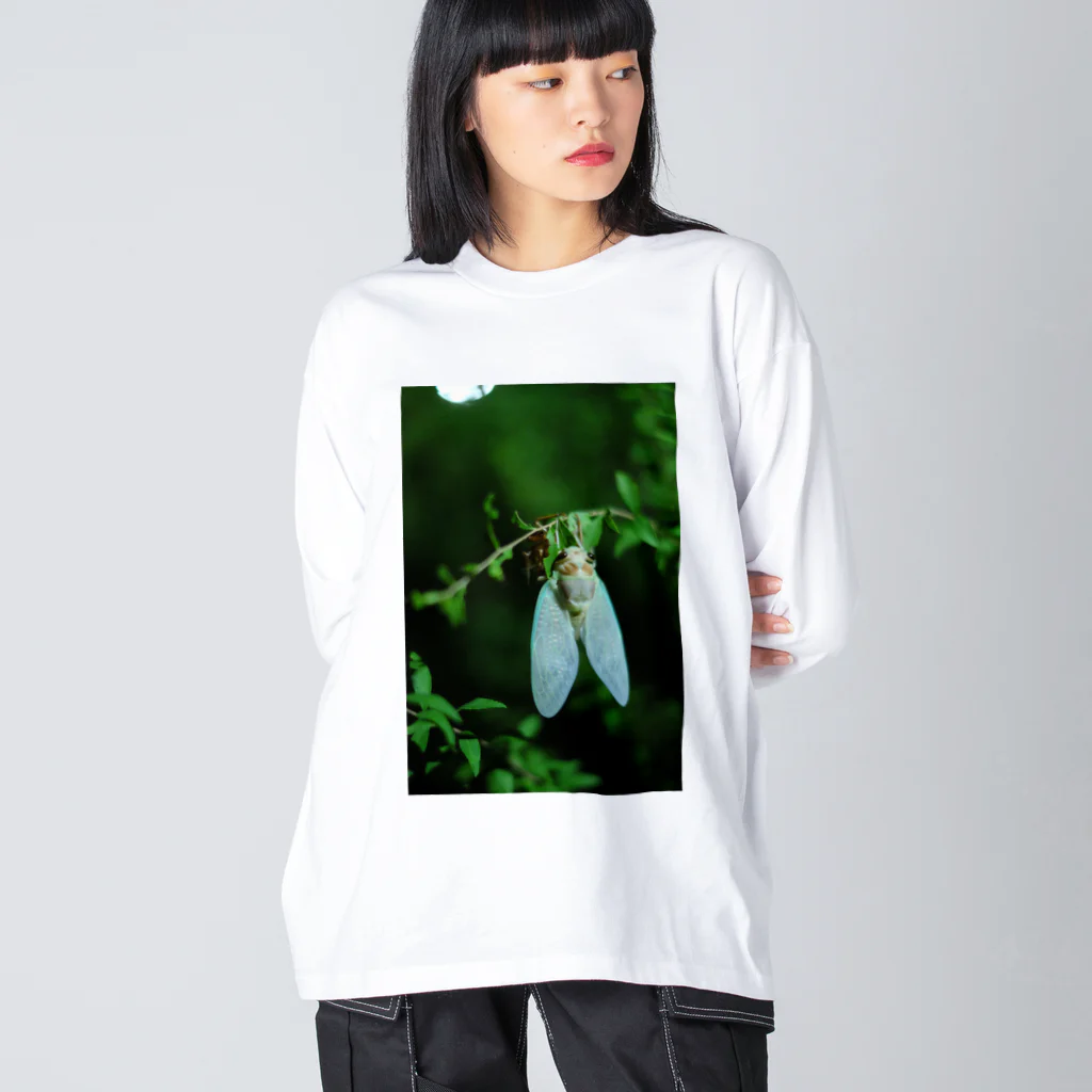 Su Shopのセミ Big Long Sleeve T-Shirt