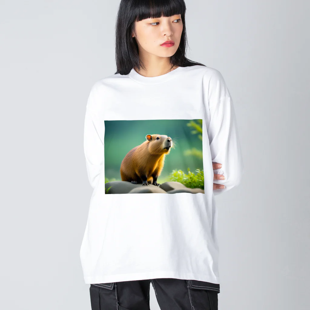 ジャパネットケフィアの可愛いカピバラ Big Long Sleeve T-Shirt