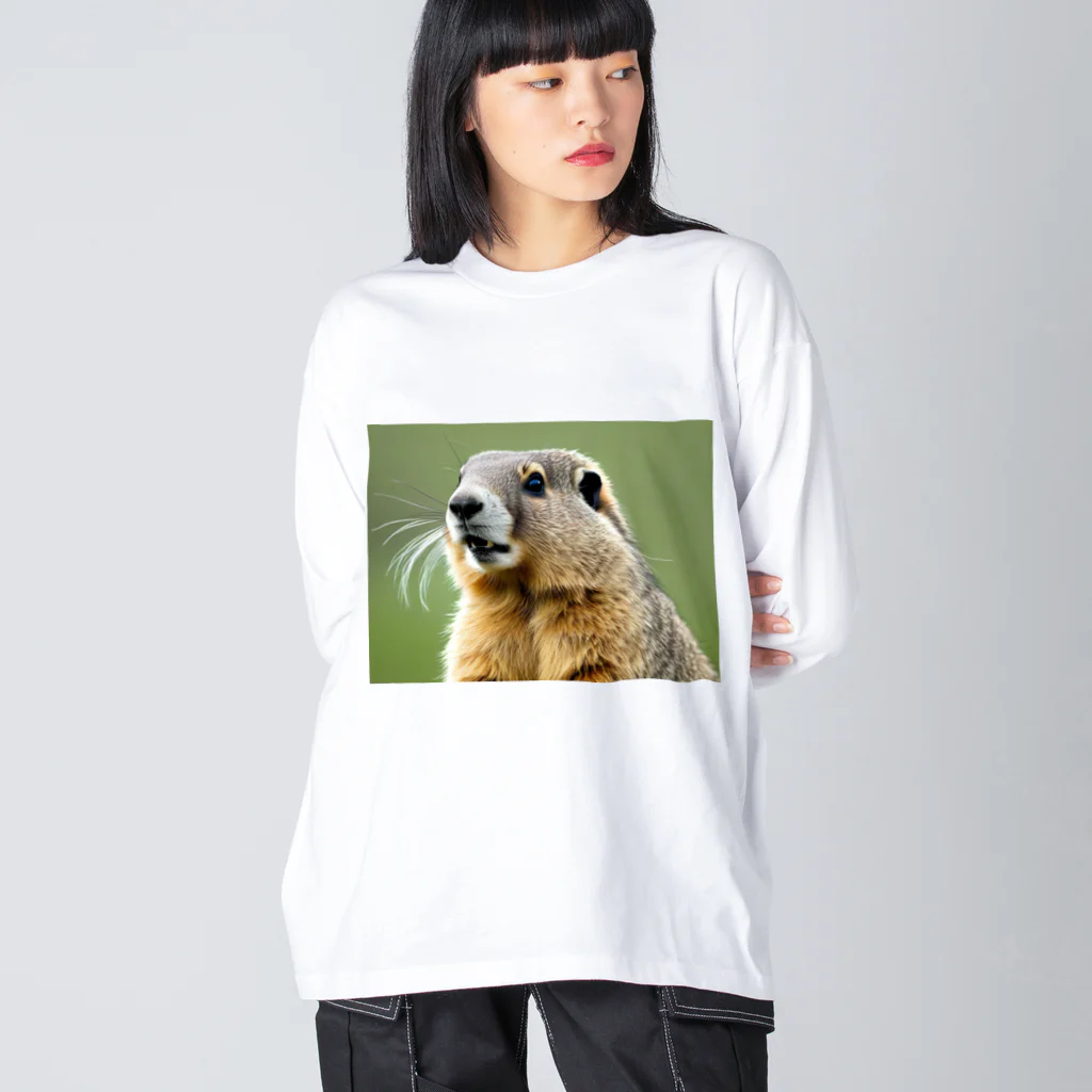 ジャパネットケフィアのぽってりマーモット Big Long Sleeve T-Shirt