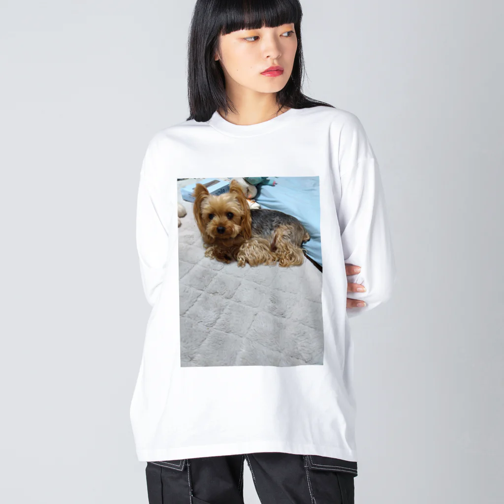 ベイビーちゃんのアレンくん Big Long Sleeve T-Shirt