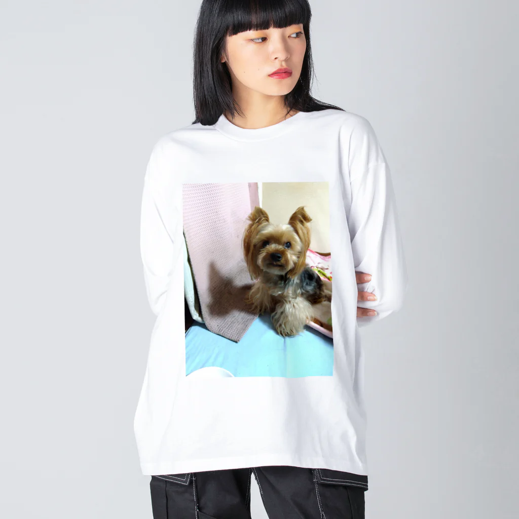 ベイビーちゃんのアレンくん Big Long Sleeve T-Shirt