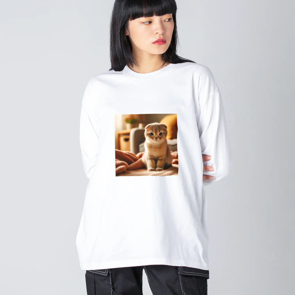 akinyan3128のご機嫌斜め(スコティッシュフォールド) Big Long Sleeve T-Shirt