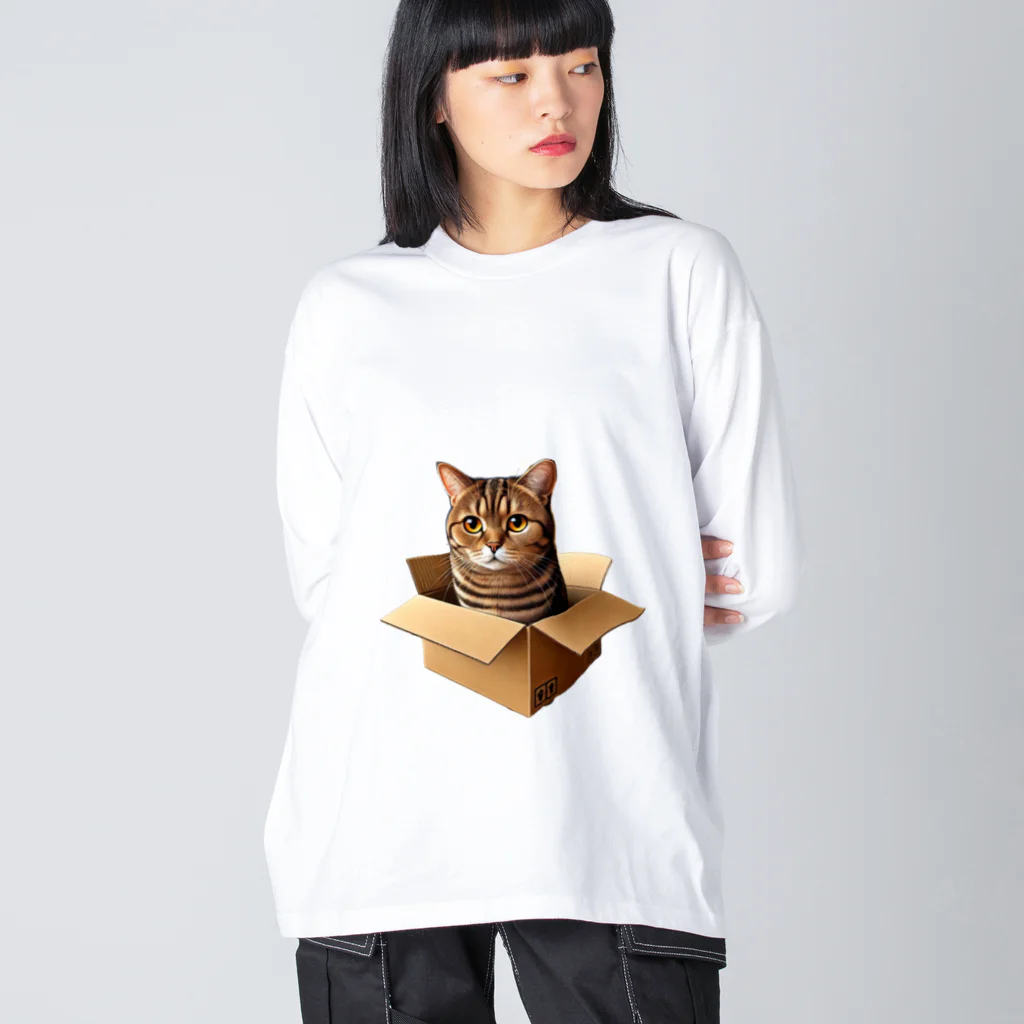 猫の小梅お嬢さんの小梅ちゃん　箱猫 Big Long Sleeve T-Shirt