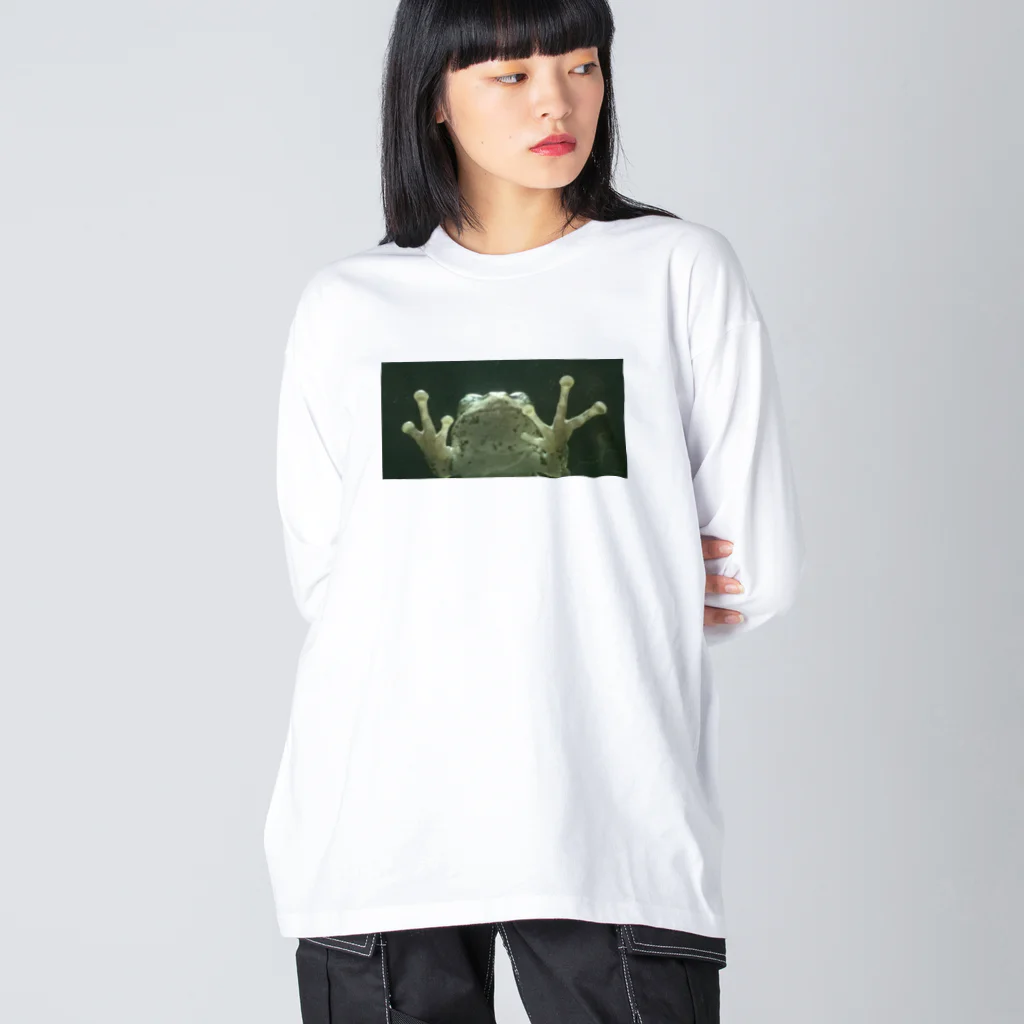 クマバチゴルフ倶楽部のガラス向こうにカエル Big Long Sleeve T-Shirt