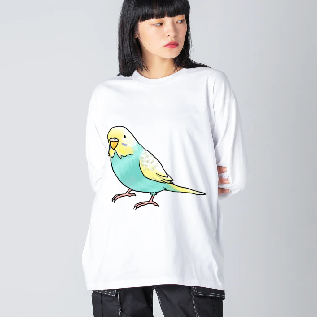 まめるりはことりのごきげんセキセイインコ【まめるりはことり】 Big Long Sleeve T-Shirt