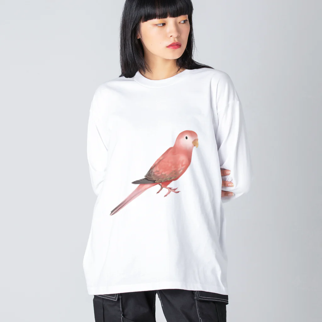 まめるりはことりのアキクサインコ　ピンク【まめるりはことり】 ビッグシルエットロングスリーブTシャツ