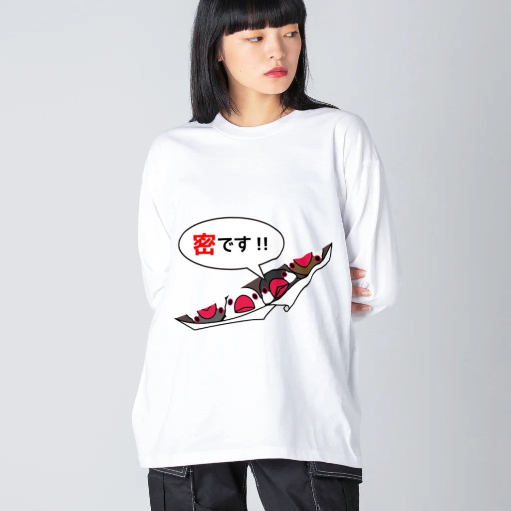 まめるりはことりの密です！フィンチさん【まめるりはことり】 ビッグシルエットロングスリーブTシャツ