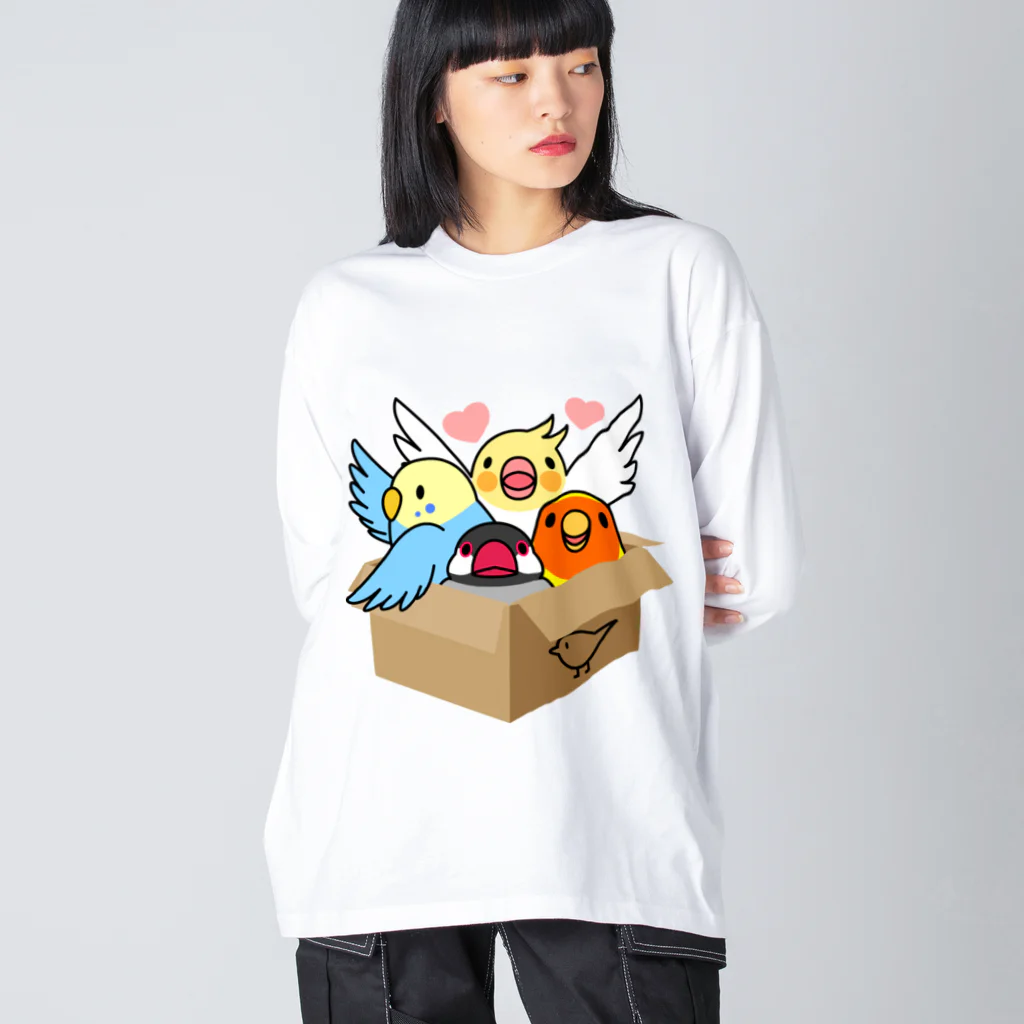 まめるりはことりの拾ってくださいインコ【まめるりはことり】 ビッグシルエットロングスリーブTシャツ