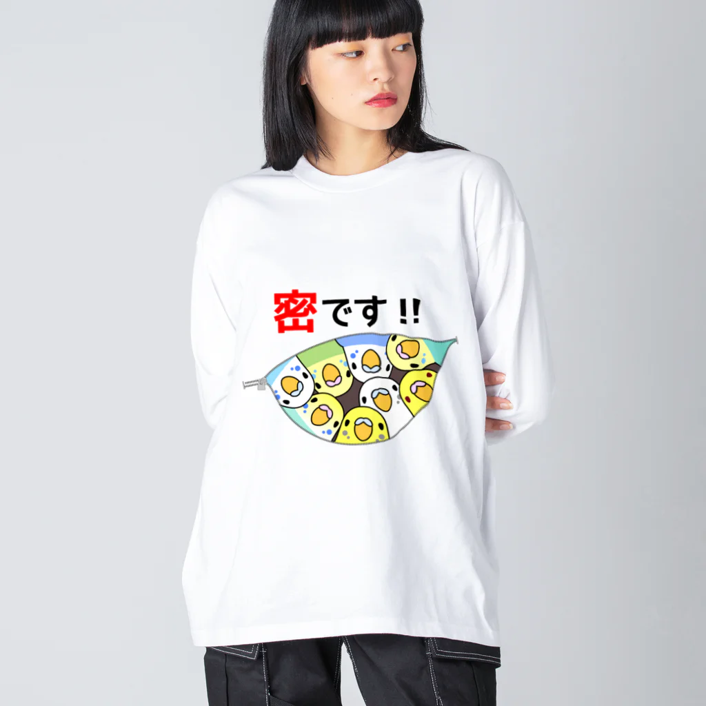 まめるりはことりの密です！セキセイインコさん【まめるりはことり】 ビッグシルエットロングスリーブTシャツ