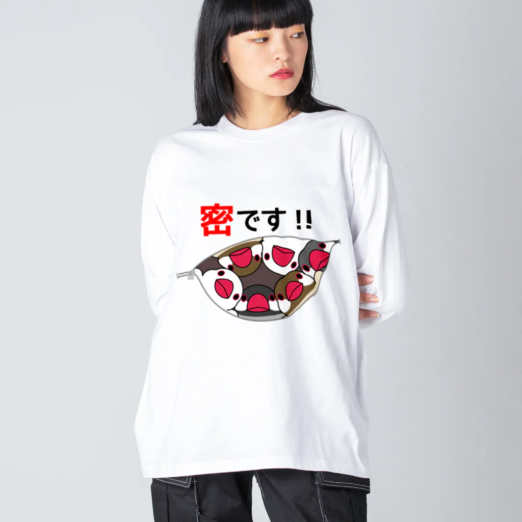 まめるりはことりの密です！文鳥さん【まめるりはことり】 ビッグシルエットロングスリーブTシャツ