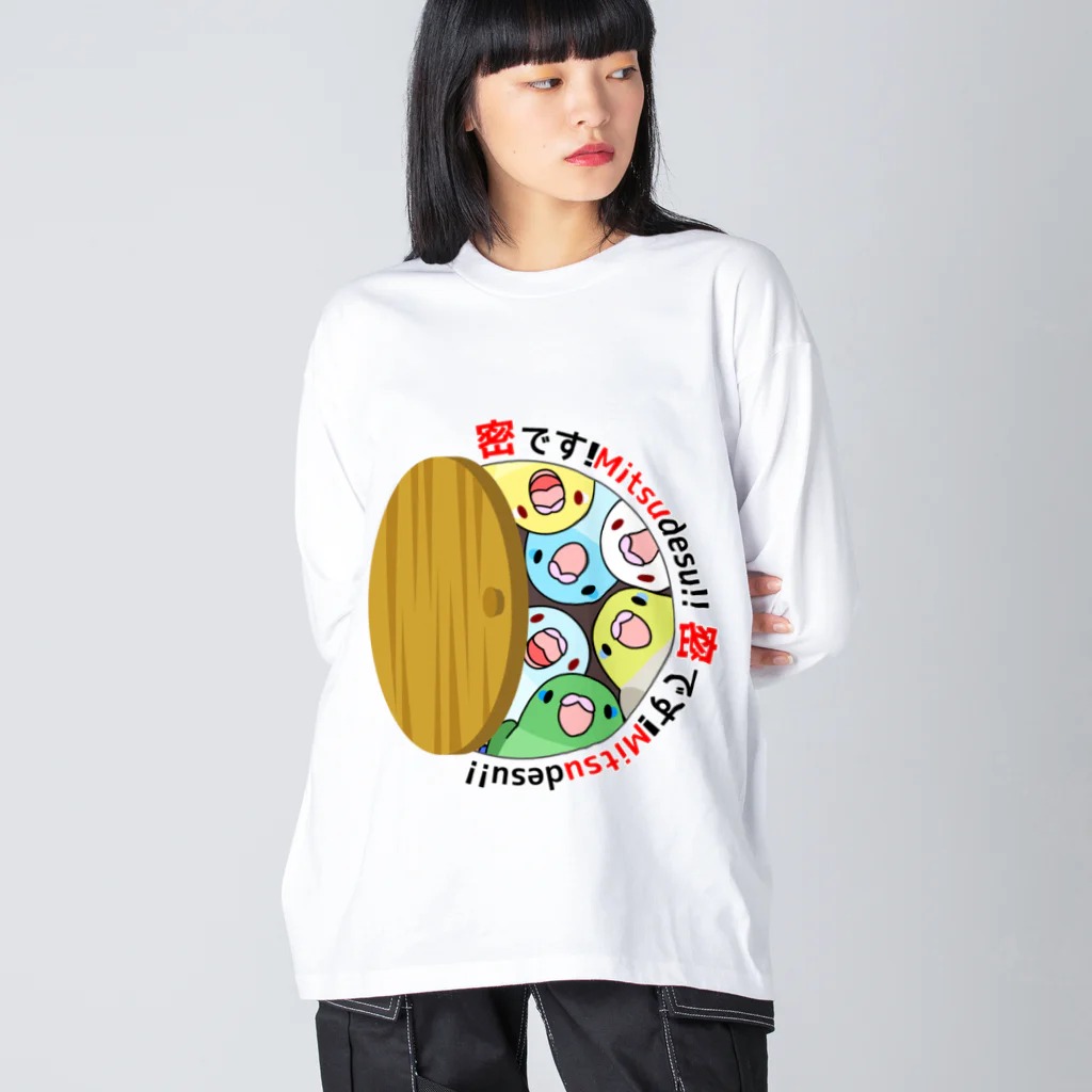 まめるりはことりの密です！マメルリハさん【まめるりはことり】 ビッグシルエットロングスリーブTシャツ