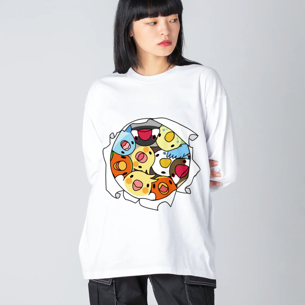 まめるりはことりの三密です！むちむち鳥まみれ【まめるりはことり】 ビッグシルエットロングスリーブTシャツ