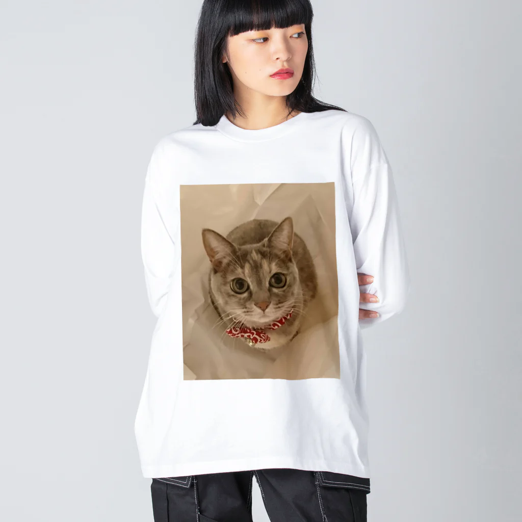 AWA・AWAのおちびの眼差し Big Long Sleeve T-Shirt