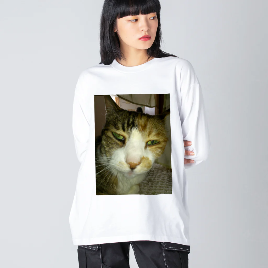 powpowの寝ぼけ猫 ビッグシルエットロングスリーブTシャツ