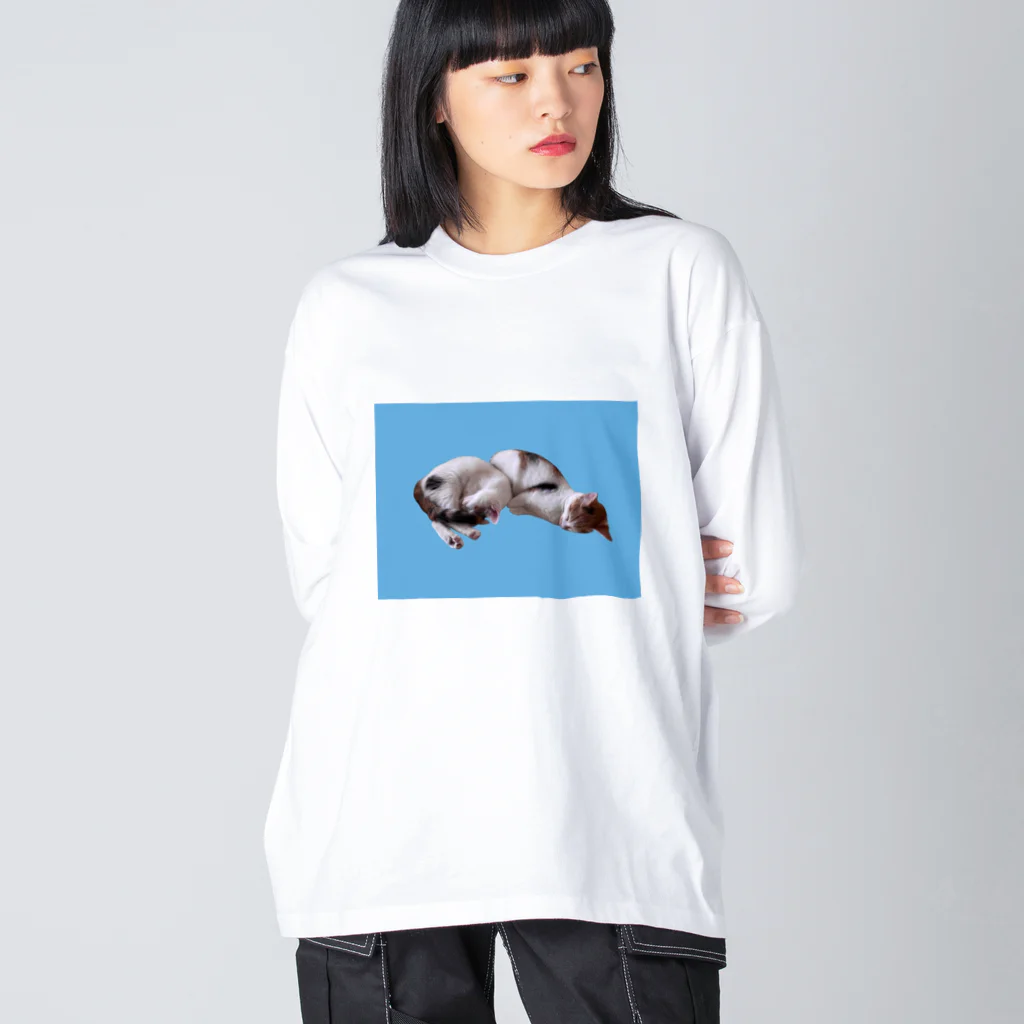 ニャーニャーとヤーヨのなかよくねむる猫 / ニャーニャーとヤーヨ ビッグシルエットロングスリーブTシャツ