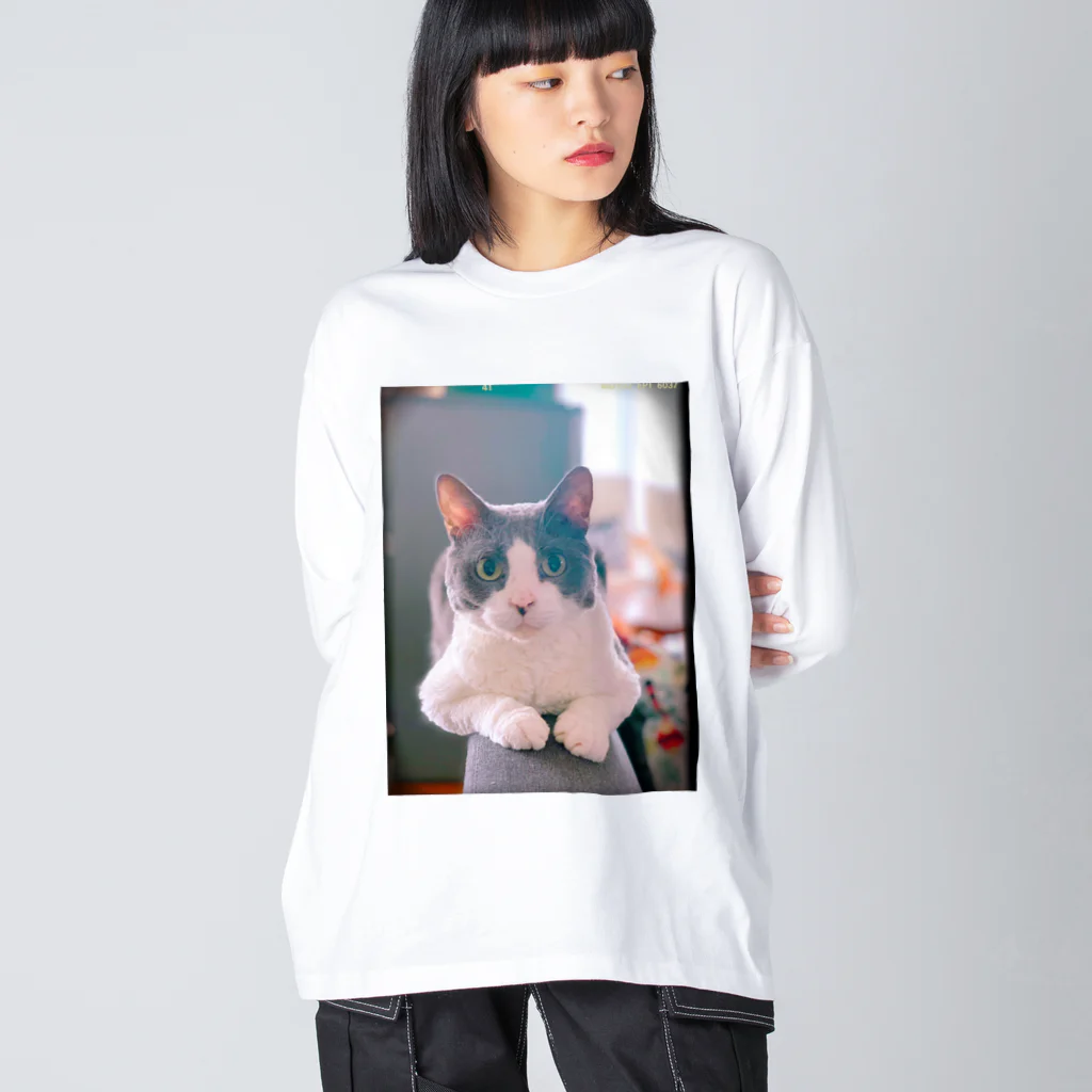 Rock in Catsの猫毛団のぽんちゃん ビッグシルエットロングスリーブTシャツ