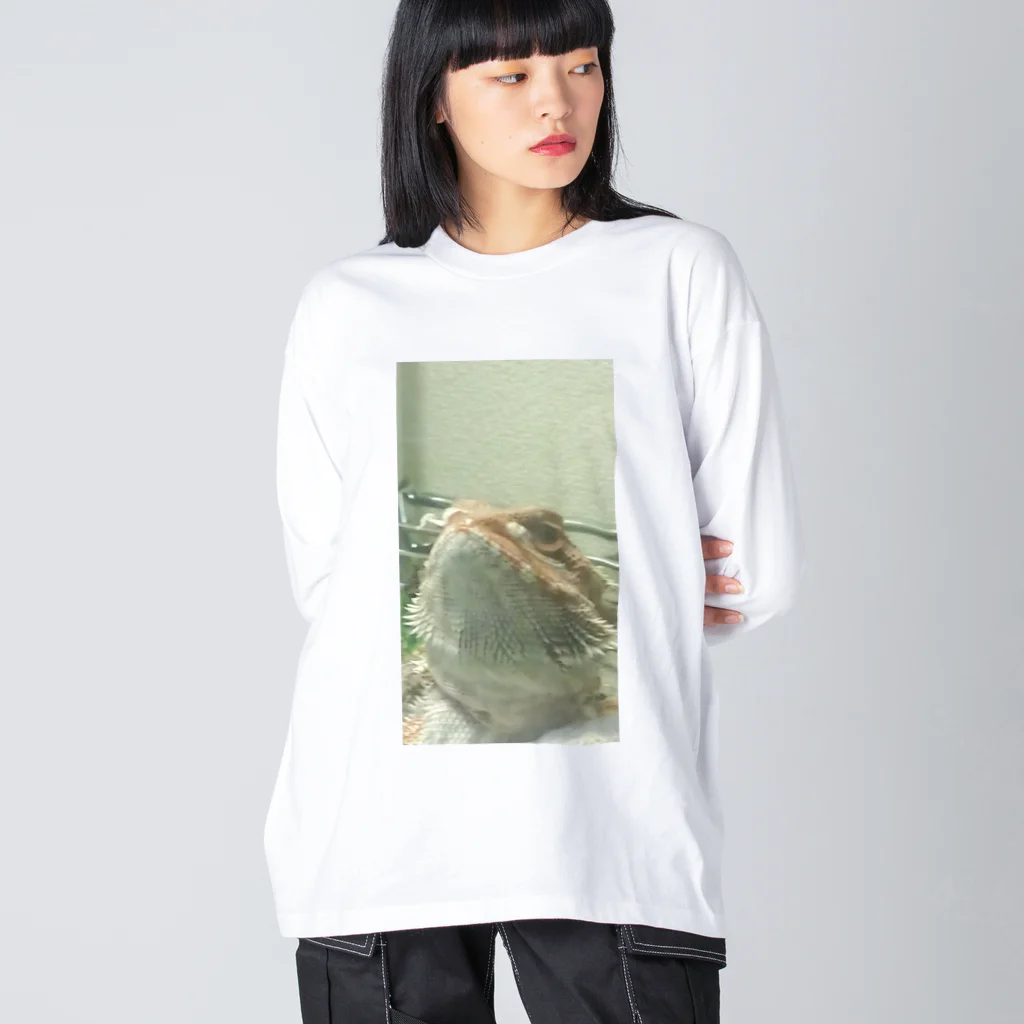 たぬ屋 うちの子多め。のフトアゴふぁぷたん。はなえのき。 Big Long Sleeve T-Shirt