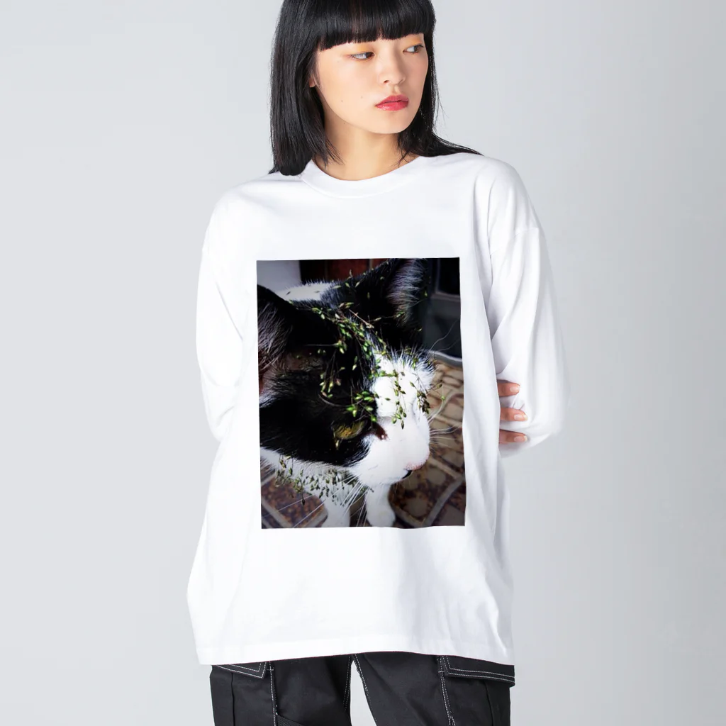 willowdenのうちの猫〜泥棒猫フェイス〜 ビッグシルエットロングスリーブTシャツ