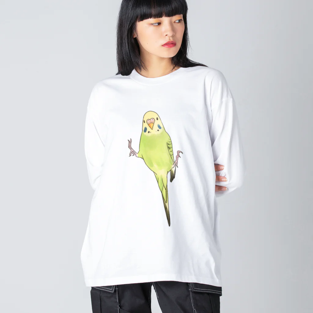 まめるりはことりのピタッとセキセイインコちゃん【まめるりはことり】 ビッグシルエットロングスリーブTシャツ