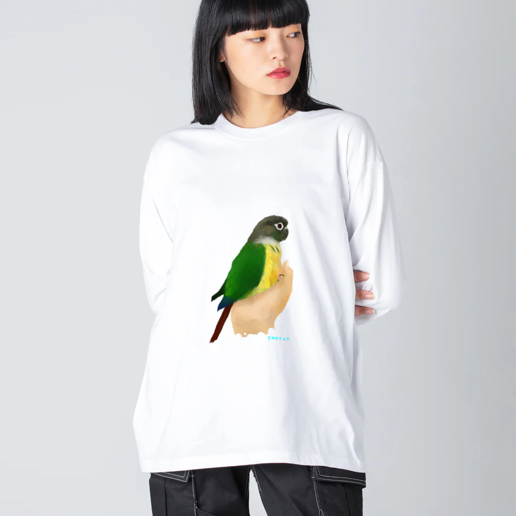 アキクサインコとウロコインコの手のりインコ、ウロコインコ ビッグシルエットロングスリーブTシャツ