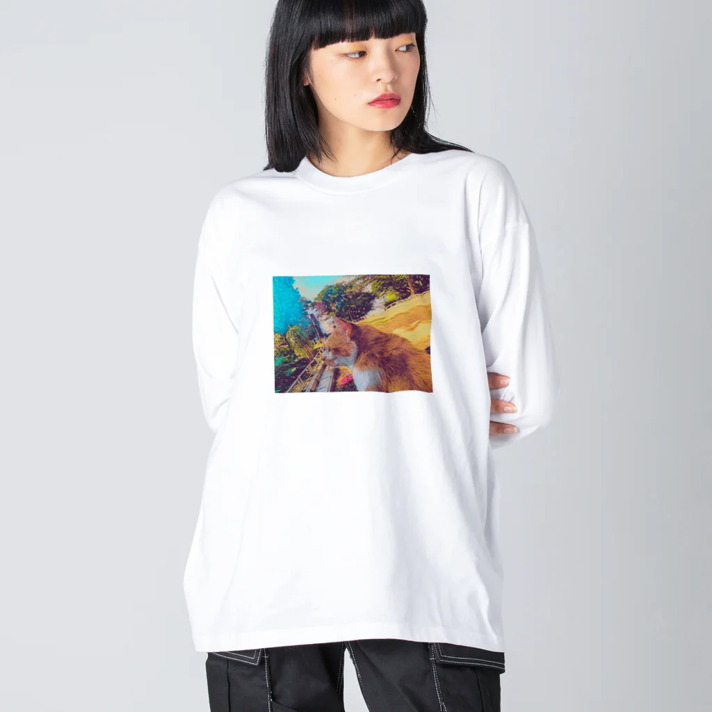 ひろん(沖縄の人のスマホ写etc…blog)のおきなわねこちゃん Big Long Sleeve T-Shirt