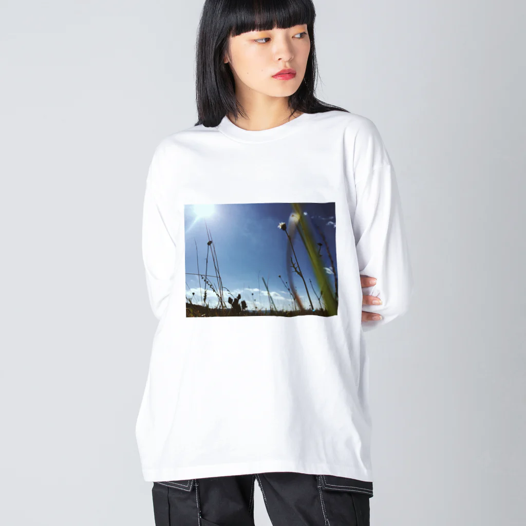 amの花 Big Long Sleeve T-Shirt