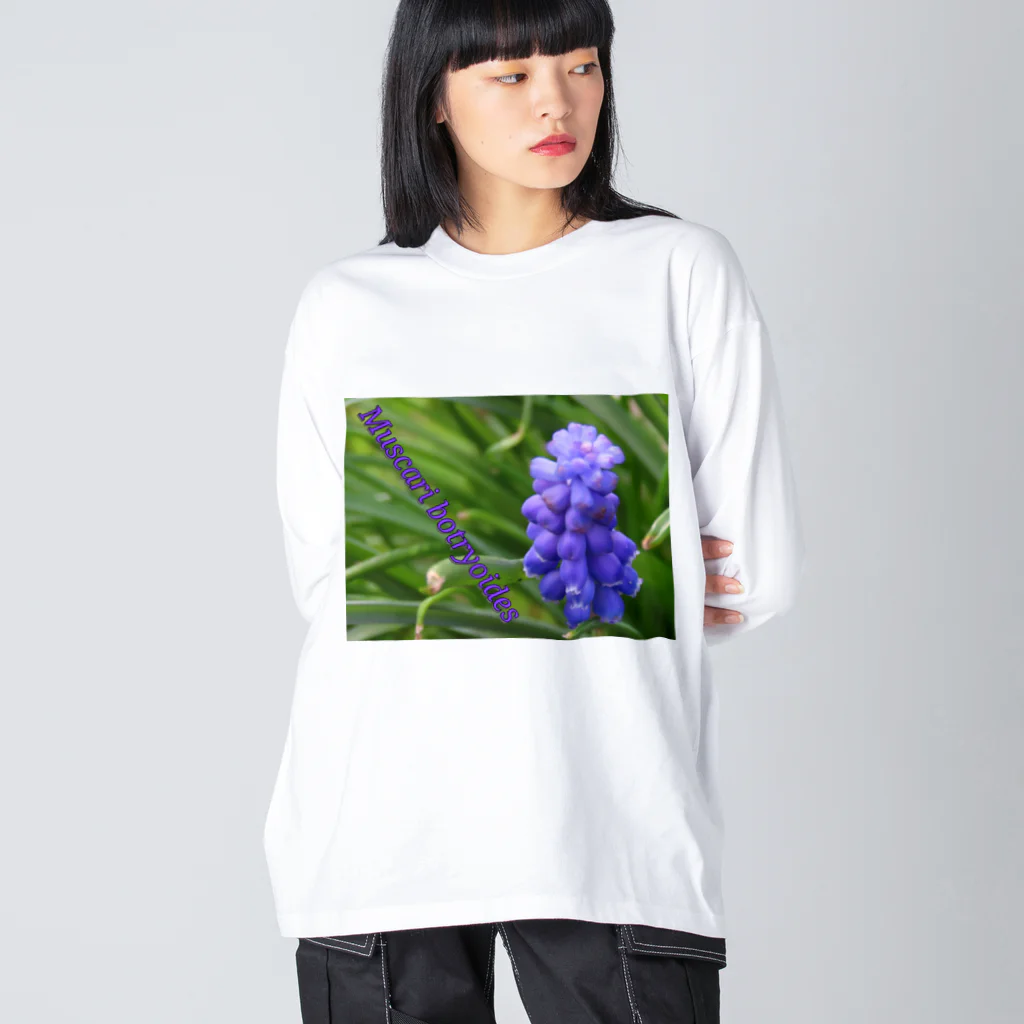 でおきしりぼ子の実験室のMuscari botryoides(4:3) ビッグシルエットロングスリーブTシャツ