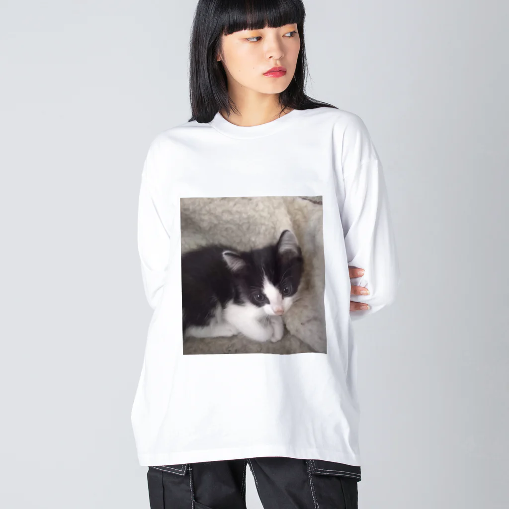 みーのお部屋 のおすまし猫 テールくん Big Long Sleeve T-Shirt