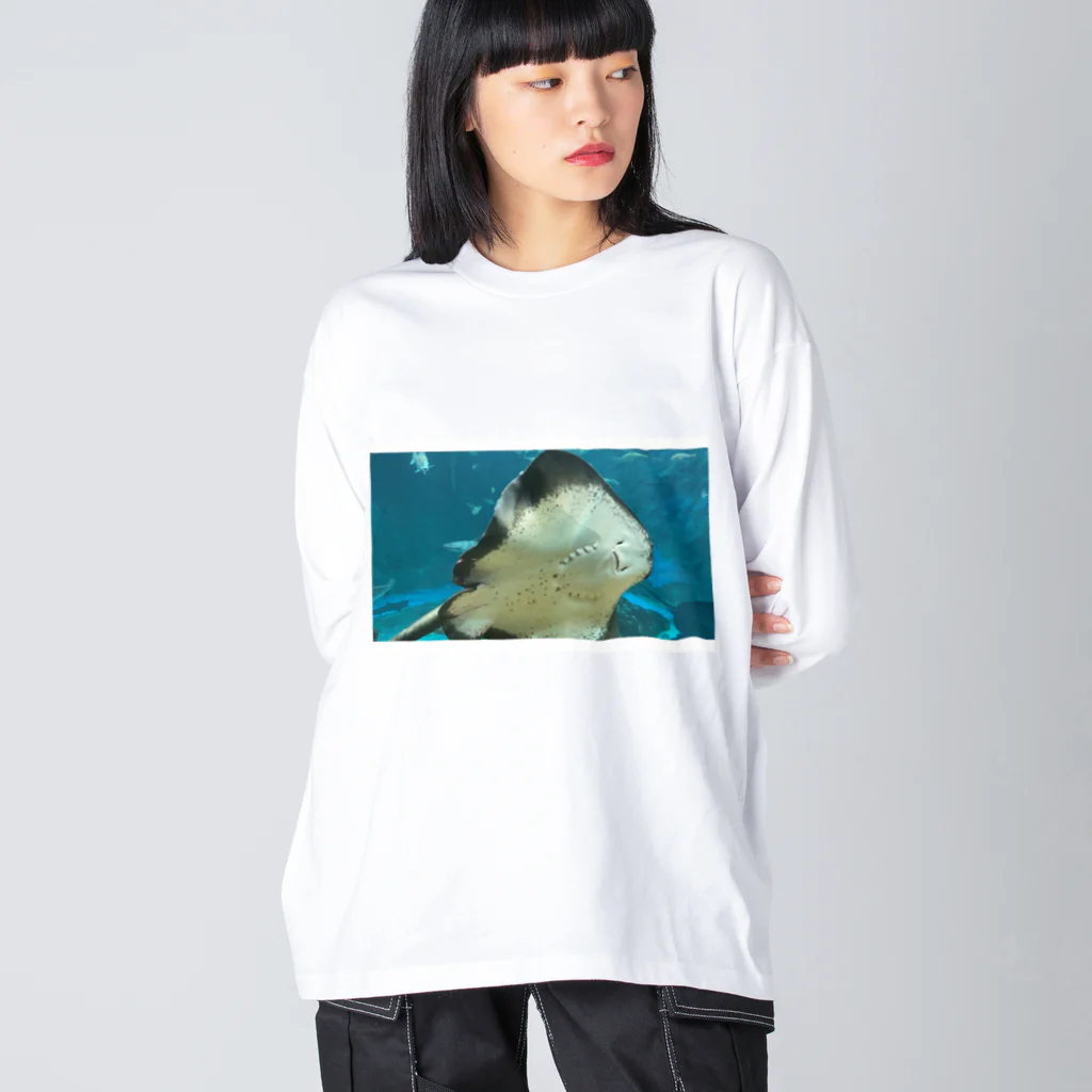 麦畑のエイが通りますよ Big Long Sleeve T-Shirt