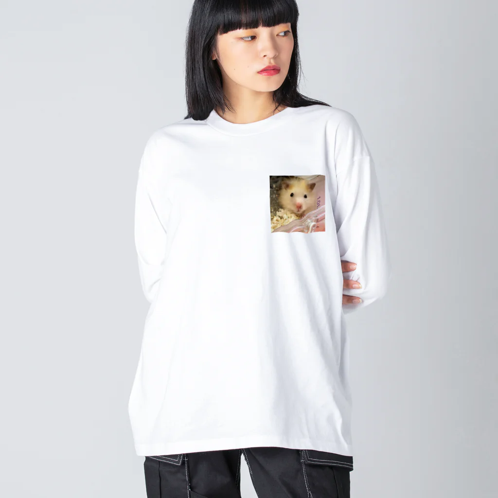 わたぼこりプ•リンのキンクマぷりんくん Big Long Sleeve T-Shirt