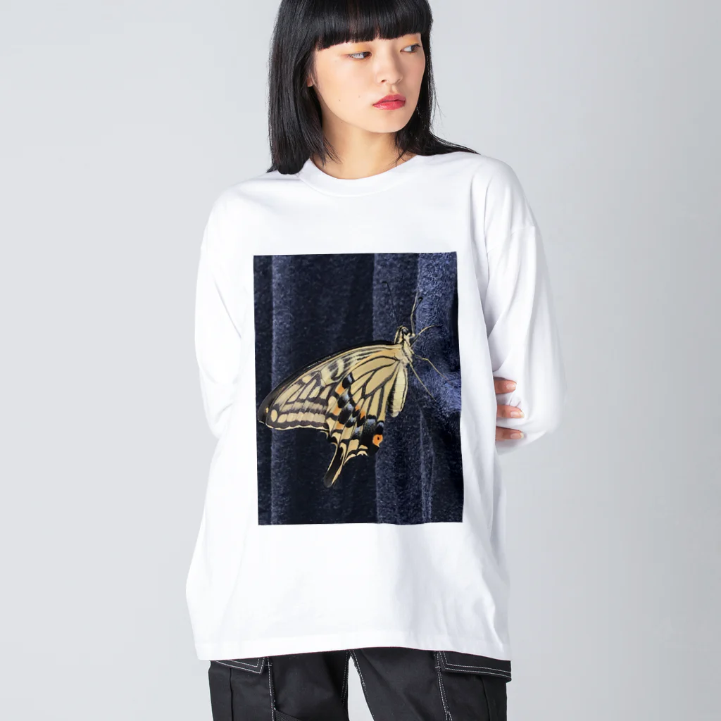 かめおうのちょうちょグロない？ Big Long Sleeve T-Shirt