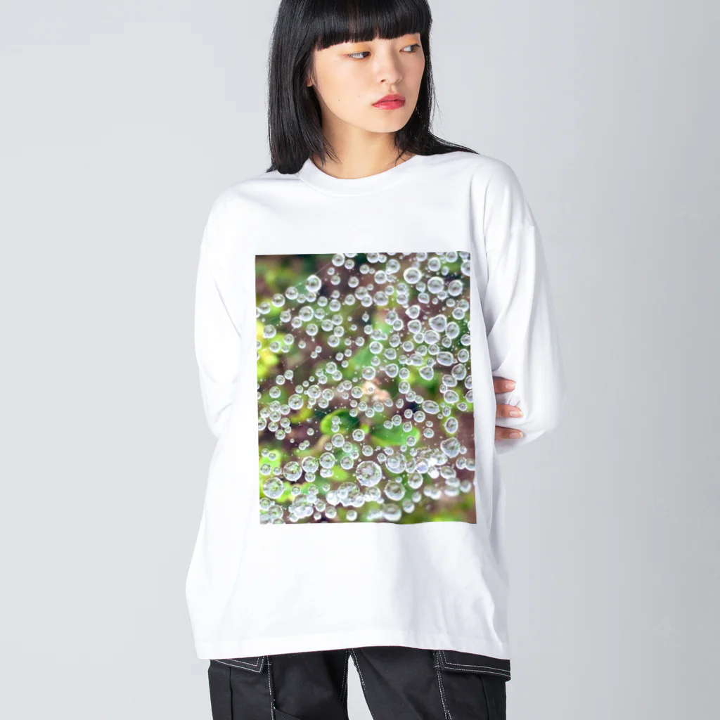 GreenTrexの蜘蛛の巣についた水滴デザイン Big Long Sleeve T-Shirt