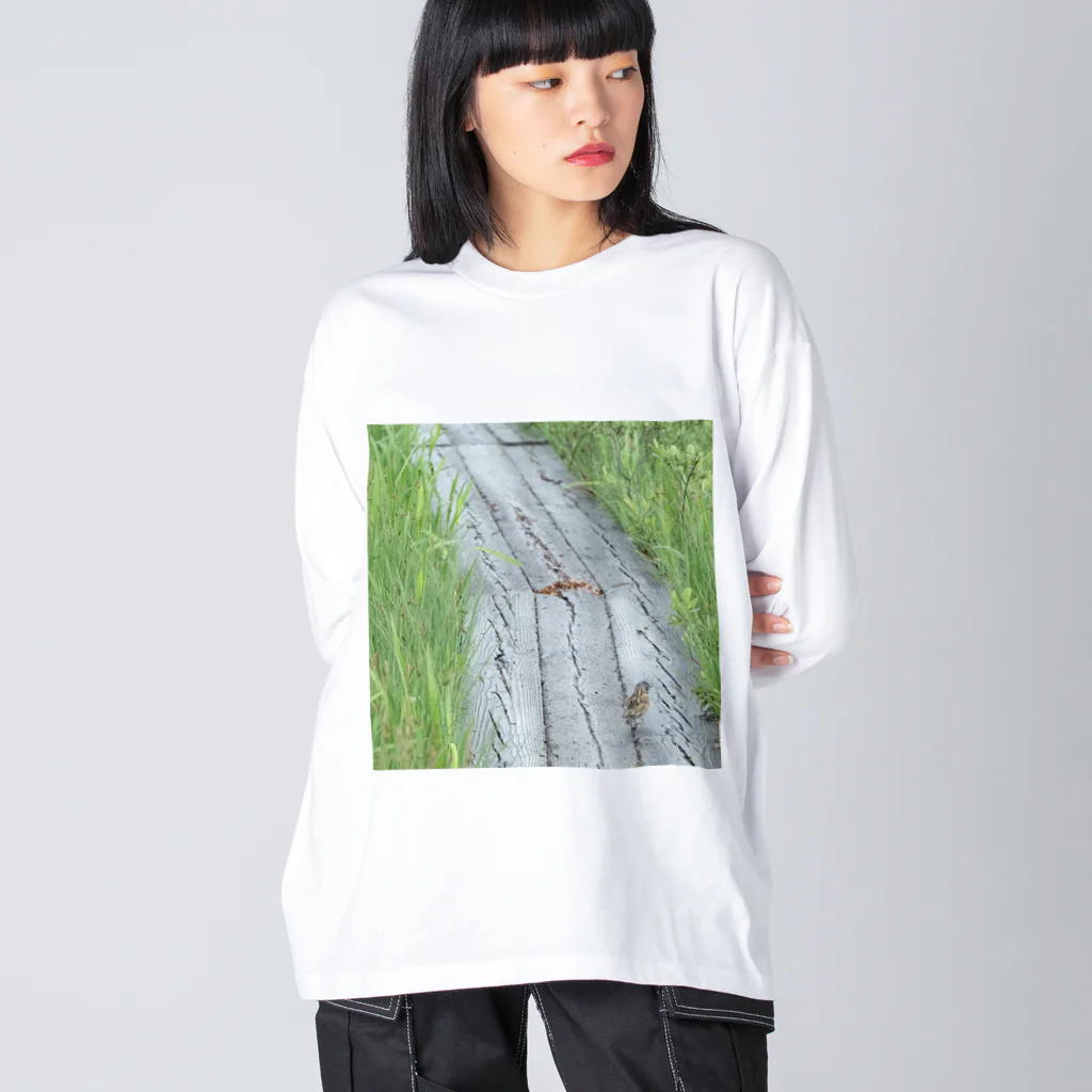 asako=niagaraのホオアカの寄り道② ビッグシルエットロングスリーブTシャツ