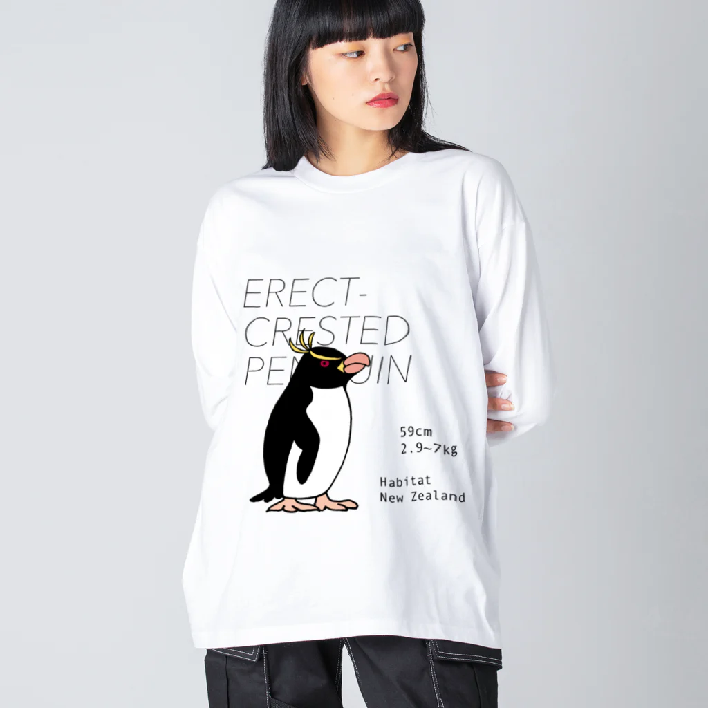 空とぶペンギン舎のマユダチペンギン Big Long Sleeve T-Shirt